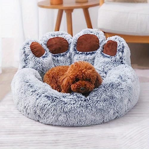 RAEF Cuccia Orso Zampa per Cani e