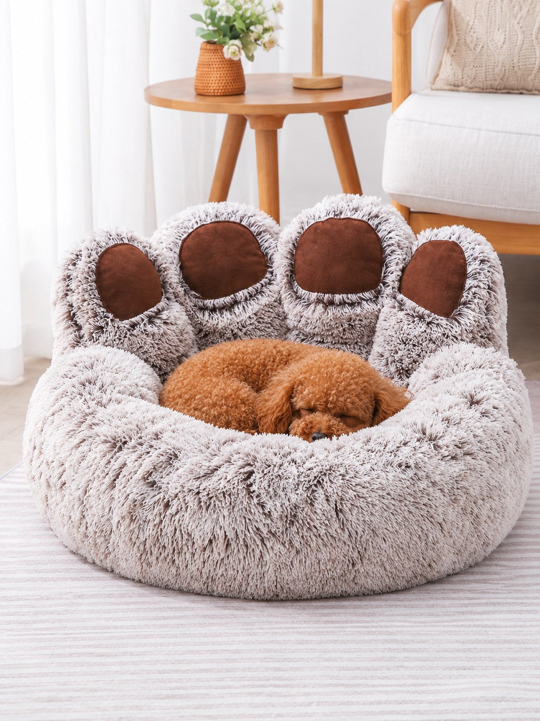 RAEF Cuccia Orso Zampa per Cani e