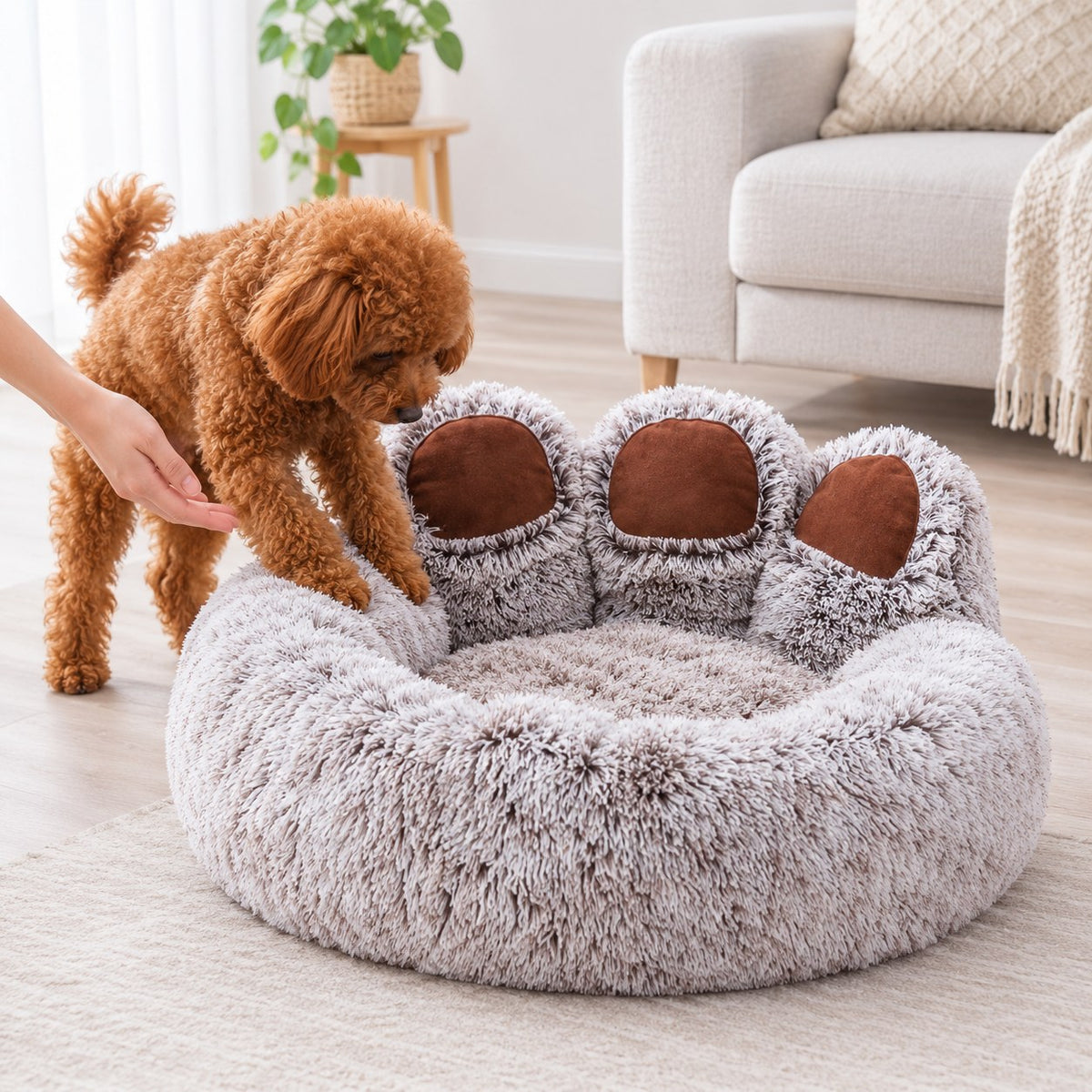 RAEF Cuccia Orso Zampa per Cani e